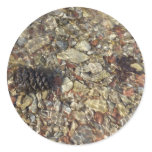Pebbles in Taylor Creek Nature Photography Classic Round Sticker