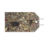 Pebbles in Taylor Creek Nature Photography Gift Tags