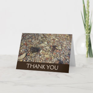 Pebbles in Taylor Creek Nature Photography Letterpress Thank You Card