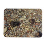 Pebbles in Taylor Creek Nature Photography Magnet