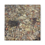 Pebbles in Taylor Creek Nature Photography Magnet