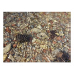 Pebbles in Taylor Creek Nature Photography Photo Print