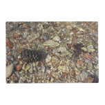 Pebbles in Taylor Creek Nature Photography Placemat