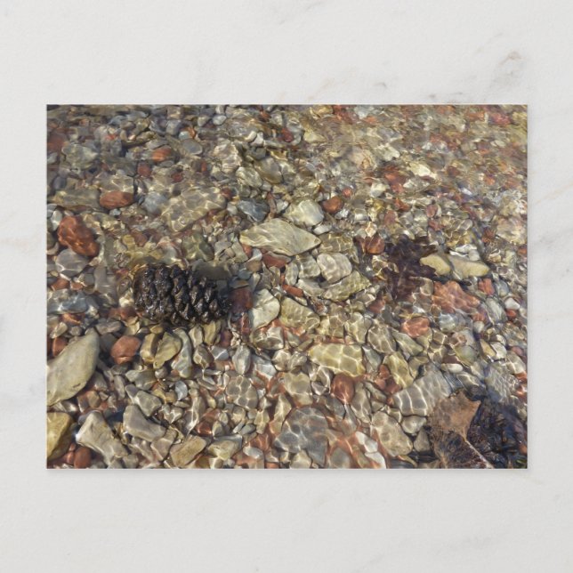 Pebbles in Taylor Creek Nature Photography Postcard (Front)