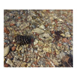 Pebbles in Taylor Creek Nature Photography Poster