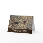 Pebbles in Taylor Creek Nature Photography Thank You Card