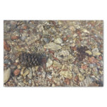 Pebbles in Taylor Creek Nature Photography Tissue Paper