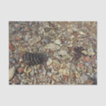 Pebbles in Taylor Creek Nature Photography Tissue Paper