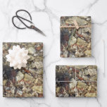 Pebbles in Taylor Creek Nature Photography Wrapping Paper Sheets