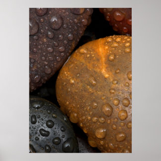 Pebbles with Water Droplets Poster
