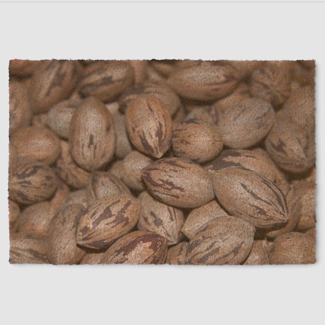 Pecan Fiber Doormat (Front)