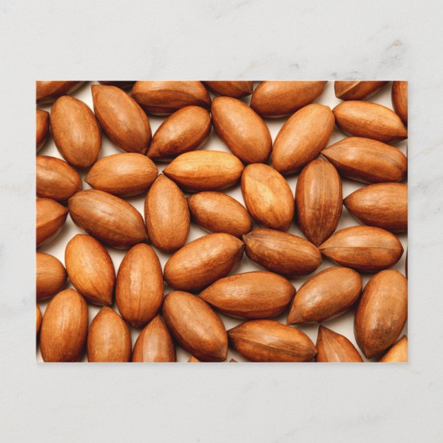 Pecan nuts postcard (Front)