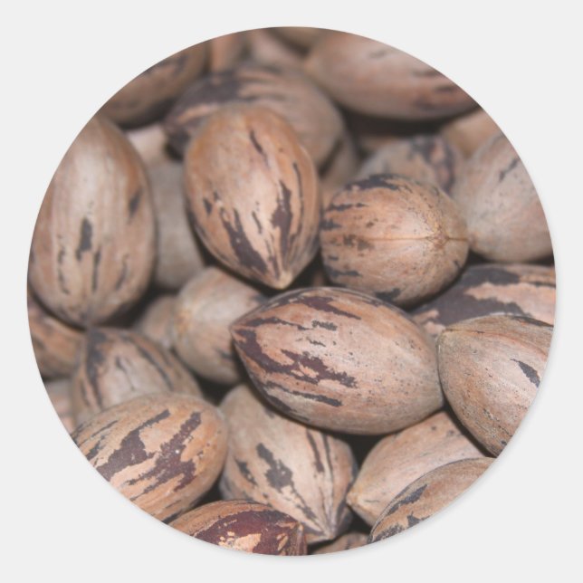 Pecan Stickers (Front)