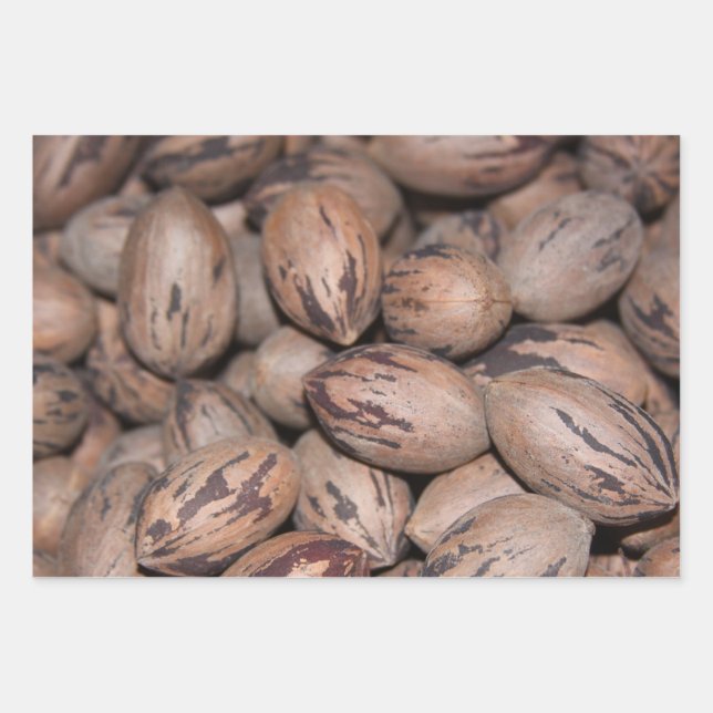 Pecan Wrapping Paper (Front)