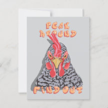 Peck Around Find Out—chicken pecking order