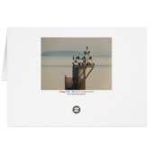 Pecking Order (Back Horizontal)