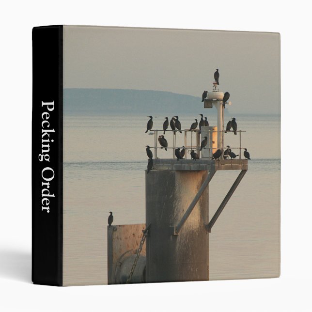 Pecking Order (1in) Binder (Front/Spine)