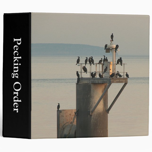 Pecking Order (2in) Binder (Front/Spine)