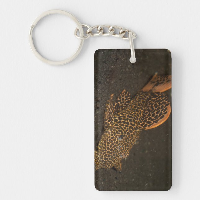 Peckoltia Compta Keychain (Front)