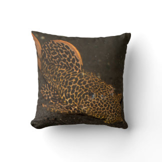 Peckoltia Compta Throw Pillow