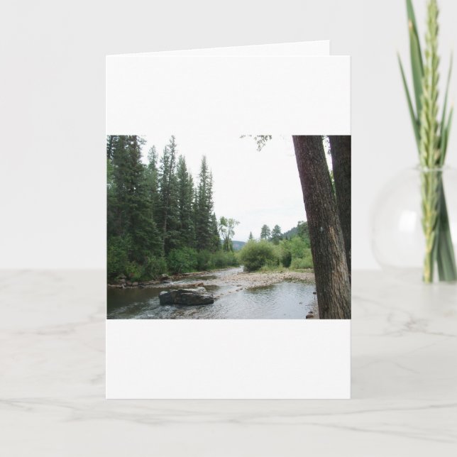 Pecos Wilderness, New Mexico Card (Front)