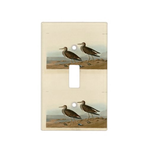 Pectoral Sandpiper from Audubons Birds of America Light Switch Cover