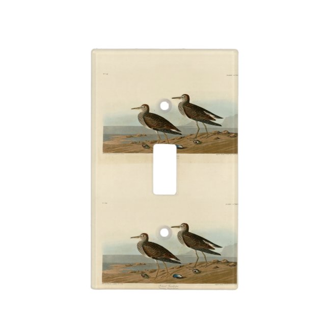 Pectoral Sandpiper from Audubon's Birds of America Light Switch Cover (Front)