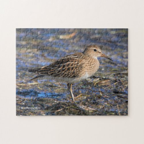 Pectoral Sandpiper on the Beach Jigsaw Puzzle