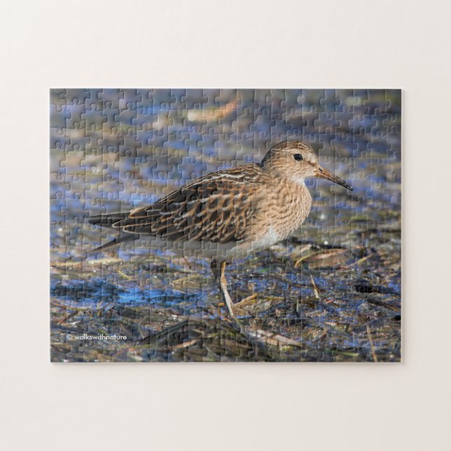 Pectoral Sandpiper on the Beach Jigsaw Puzzle (Horizontal)