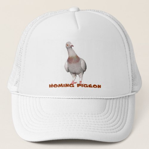 Peculiar cap with carrier pigeons