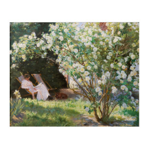 Peder Severin Kroyer - Roses Acrylic Print