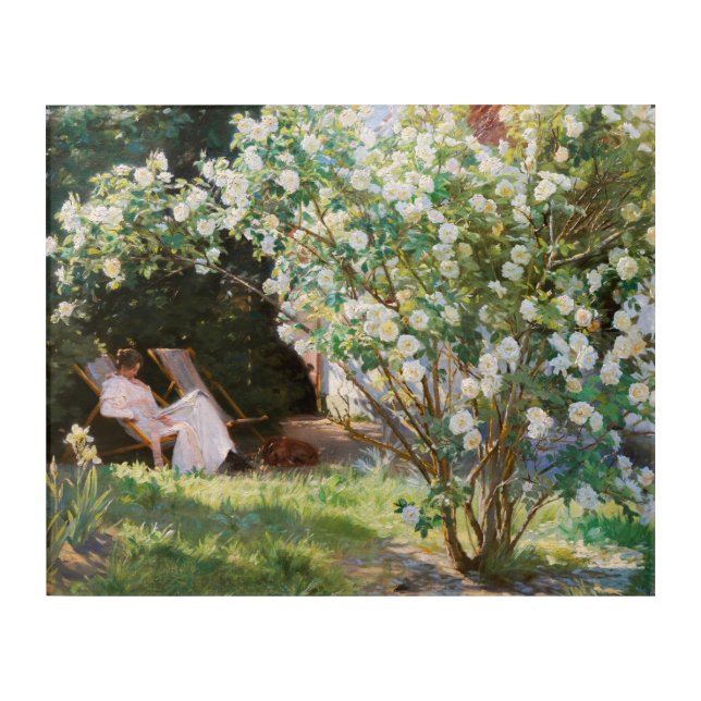 Peder Severin Kroyer - Roses Acrylic Print (Front)