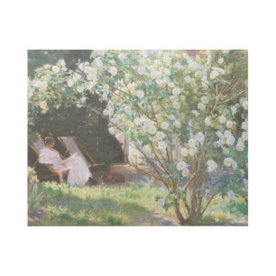 Peder Severin Kroyer - Roses Gallery Wrap