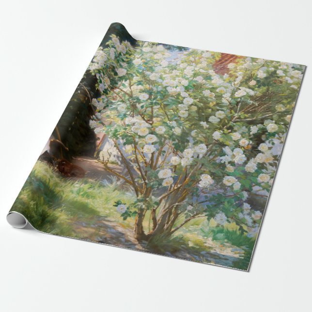 Peder Severin Kroyer - Roses Wrapping Paper (Unrolled)