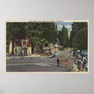 Pedestrians on Lake Shore Drive Poster