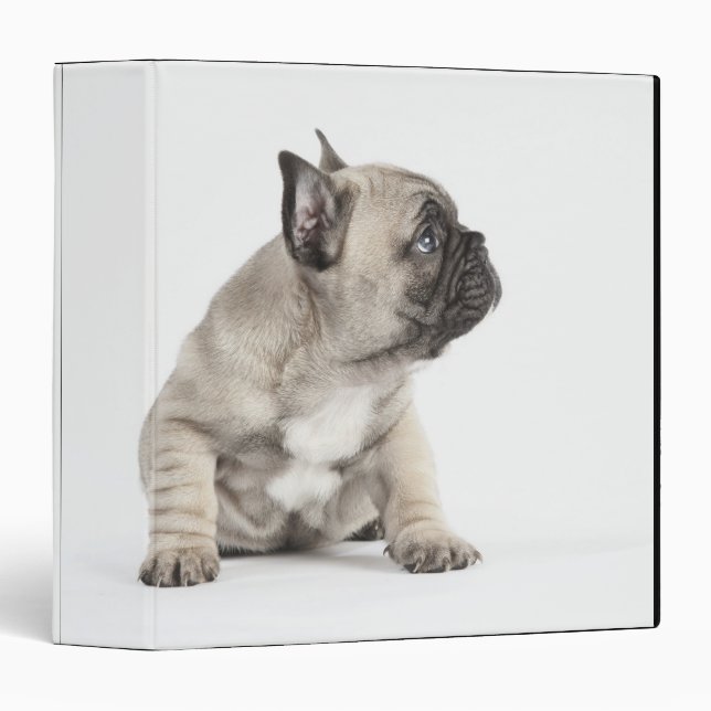 Pedigree puppy binder (Front/Spine)
