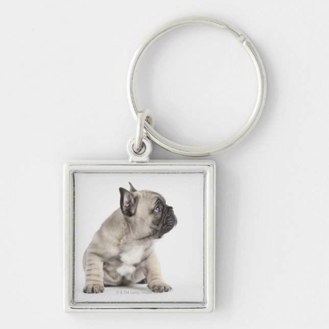 Pedigree puppy keychain (Front)