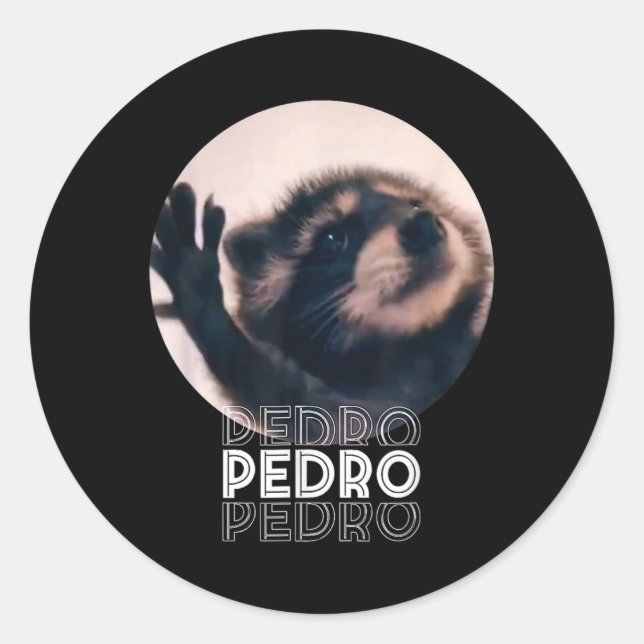 Pedro Racoon Dance Popular Internet Meme Mapache D Classic Round Sticker (Front)