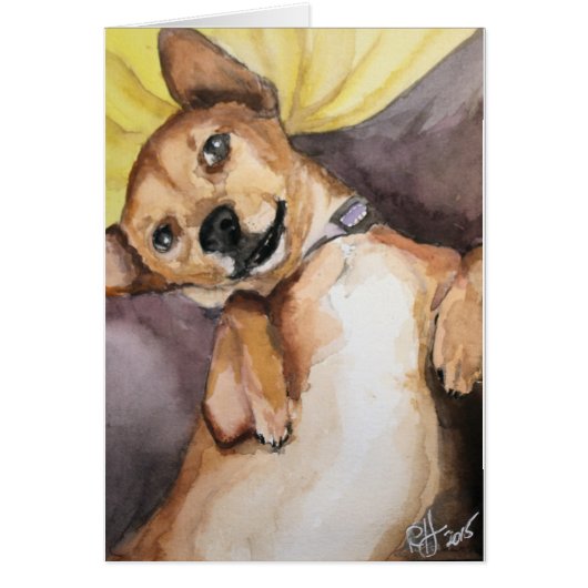 Pedro the Chiweenie Cards (Front)