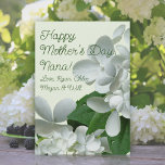 Pee Gee White Hydrangea Flowers Mothers Day Card