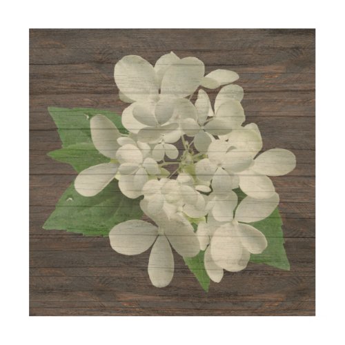 Pee Gee White Hydrangea Wood Wall Art