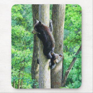 Peek-a-Bear Mouse Pad