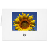 Peek a boo (Back Horizontal)