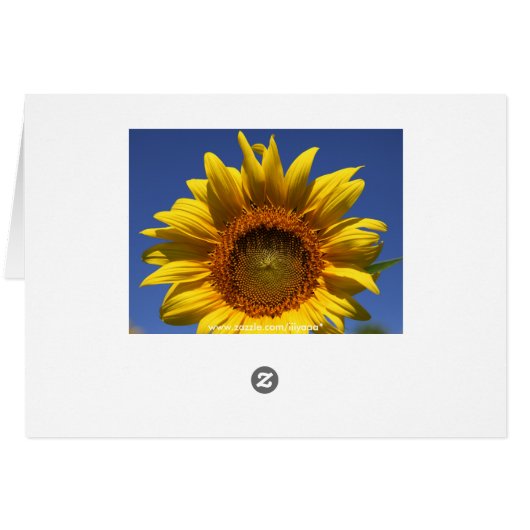 Peek a boo (Back Horizontal)