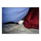 Peek a Boo (Front Horizontal)