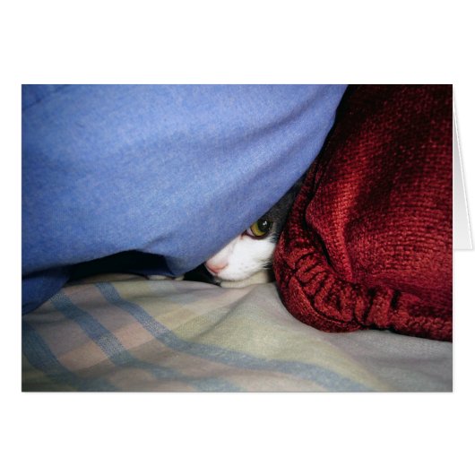 Peek a Boo (Front Horizontal)