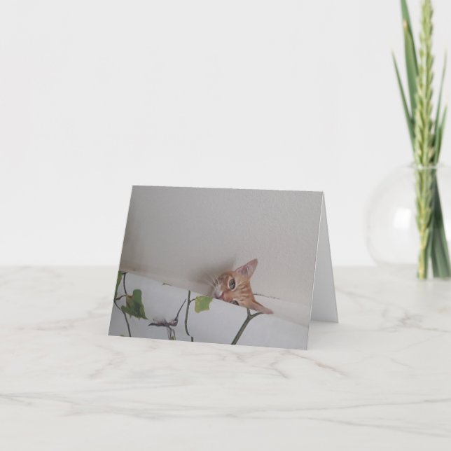 Peek-a-Boo Blank Note Cards (Front)
