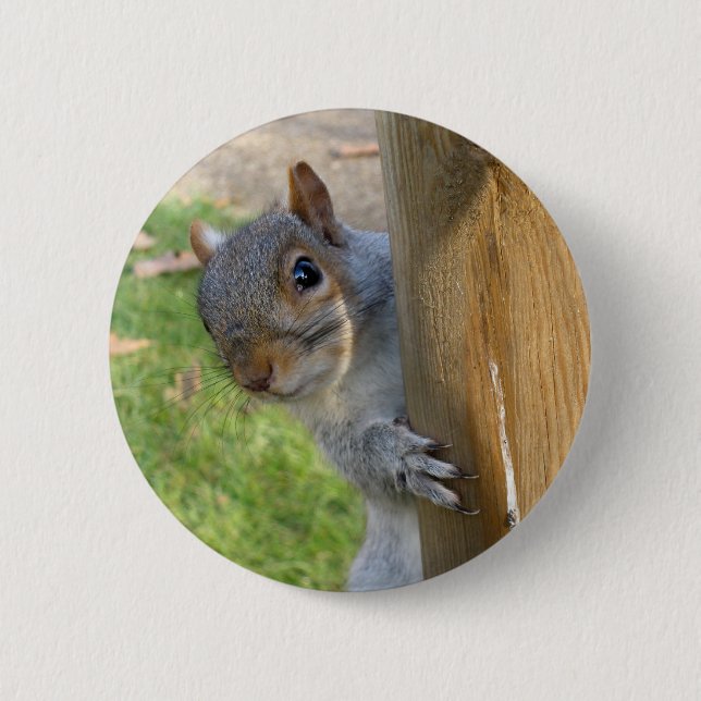 Peek-a-Boo! Button (Front)