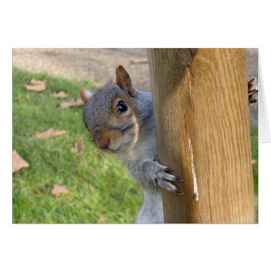 Peek-a-Boo! Cards (Front Horizontal)