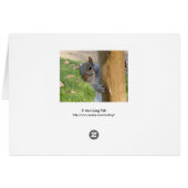 Peek-a-Boo! Cards (Back Horizontal)